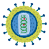 ゲイと言うとHIV？感染するとどうなる？U=Uとは