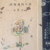 南海虜囚の詩　松井大造詩集