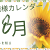 8月星模様カレンダー発売中