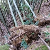 なぜ人生が退屈になるのか