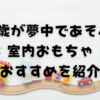 【1歳】梅雨の室内遊びに夢中で遊んだおすすめおもちゃを紹介するよ！
