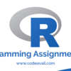 R Programming Assignment Help By CS Experts