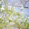豊かで自分らしい人生を生きるために一番大事なこと
