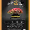 第31回秋雅展のご案内