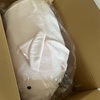 巨大なバムセがやってきた