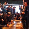長良川で天然アユ漁始まる　岐阜市中央卸売市場で5月11日に初セリ