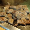 焼肉！