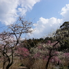 静岡県　掛川市　龍尾神社に行って来ました②