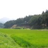 中山城　（群馬県　吾妻郡　高山村）　2