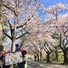 【4月1日 356日目】ペリーに温泉、ワサビにセカチュウ！伊豆半島は 盛り沢山？(=´∀｀)