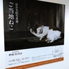 岩合光昭写真展 「ご当地ねこ」 ＆梅宮大社のツキ
