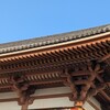1月24日の西新井大師カラスさんぽ