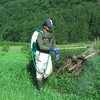 イチジク畑に除草剤を散布しました🌿