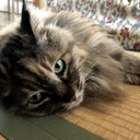 ともゆきだるま