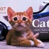 本多信男写真「Cats Calendar 2007」（山と溪谷社 ASIN:4635847071）
