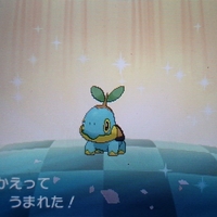 色違い 国際孵化進化 ドダイトス Usum キロの色違いポケモン図鑑ブログ