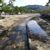 田舎から上京して東京都心で暮らしてみて思ったこと