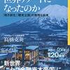 【読書感想】なぜニセコだけが世界リゾートになったのか 「地方創生」「観光立国」の無残な結末 ☆☆☆☆