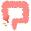 盲腸のフリーイラスト素材