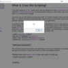 ShepherdでCross Site Scriptingをやってみた