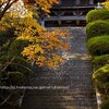 独鈷抛山・千手寺