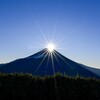 富士山が出てきたような気がする初夢と、娘と私が引いた全く同じ「大吉」のおみくじ。