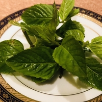 フレッシュミントの使い方 洗い方 保存方法 サラダやカクテルに おいしけりゃなんでもいい