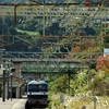 根府川駅　秋