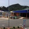 伊豆旅行3日目：下田海中水族館