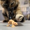 ブレイクダンス初心者向け｜技の上達に必要なフリーズ一覧、技の解説