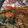 奥多摩湖〜柳沢峠〜甲府〜昇仙峡ぶらり旅