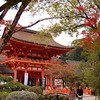 上賀茂神社・下賀茂神社