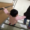 保育園へ来年度の相談をする