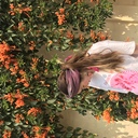 kokoroearthmovement’s blog