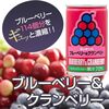 ビタミンEやアントシアニンの抗酸化作用で老化防止 ミリオン ブルーベリー＆クランベリージュース