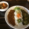 LEVECHINA