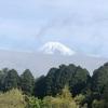 今朝の景色