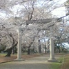 桜の開花