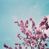 LomoChrome Purpleフィルムで日常を非日常に