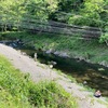 5月8日(木)秩父フライフィールドの河川情