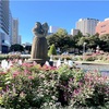 横浜滞在中❸  横浜のベタな観光地を回ってきました♪