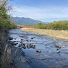 4月22日(火)荒川柳大橋の河川情報