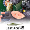 【EVERGREEN】ワーム表面にクリアコーティングを施し小魚のヌメリを表現「ラストエース45」発売！