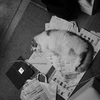 すこし前の写真