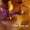 ポップで、ハードで、エモい。【Frosting on the Beater/The Posies（1993）】｜今日のTSUTAYA店舗レンタル日記。#76