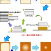 食パンの腰折れを考える②　～　焼成後のショック