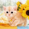 【癒し】「ねこのなつやすみ」ジグソーパズルで心をほぐす！猫好き必見の休息時間