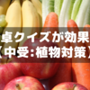 【中学受験】植物が苦手な子こそ見てほしい！「楽しく覚える」植物攻略法
