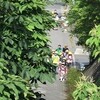 登校の風景：今朝も晴れ　少し暑く