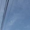 虫の音